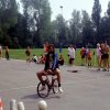 1976 tm 1984 rava